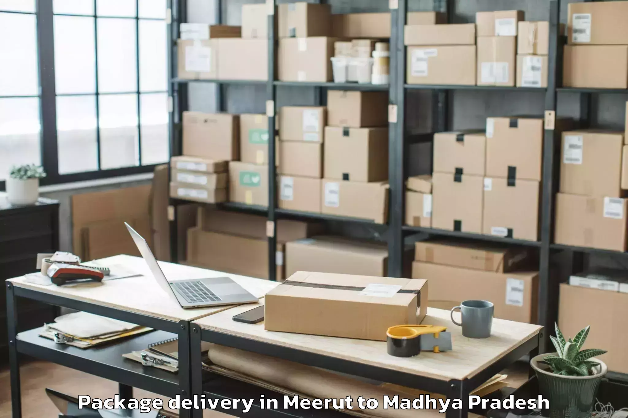 Reliable Meerut to Mauganj Package Delivery